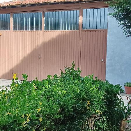 Casa Da Vovo Ceu - Casa De Campo Gandaresa - Country House, Entre Coimbra E Aveiro, A 15 Minutos Carro Praia Mira - Quintal Com Piscina Insuflavel Cantanhede Dış mekan fotoğraf